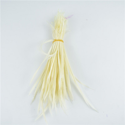 Värvilised looduslikud hanesuled juuste meisterdamiseks Suled ehete valmistamiseks Kärbse sidumismaterjalid Kaunistused Karnevali unenäopüüdja