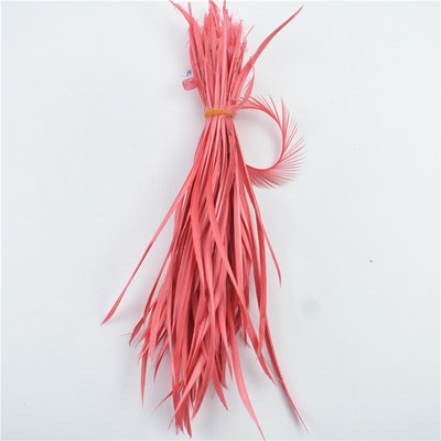 Värvilised looduslikud hanesuled juuste meisterdamiseks Suled ehete valmistamiseks Kärbse sidumismaterjalid Kaunistused Karnevali unenäopüüdja