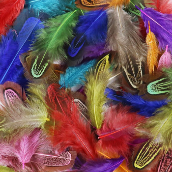 3-8cm Πολύχρωμα Φυσικά Φτερά Φασιανού Για Χειροτεχνίες Διακόσμηση Κοσμήματα Κατασκευή Αποκριάτικα Αξεσουάρ Μικρά Πλοφάκια 100 τμχ