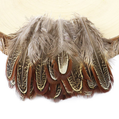 3-8CM Višebojno prirodno fazanovo perje za zanatske ukrase Izrada nakita Karnevalski dodaci Male perjanice 100 kom.