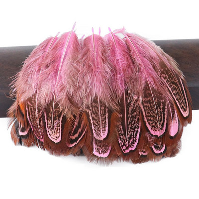 3-8CM Višebojno prirodno fazanovo perje za zanatske ukrase Izrada nakita Karnevalski dodaci Male perjanice 100 kom.