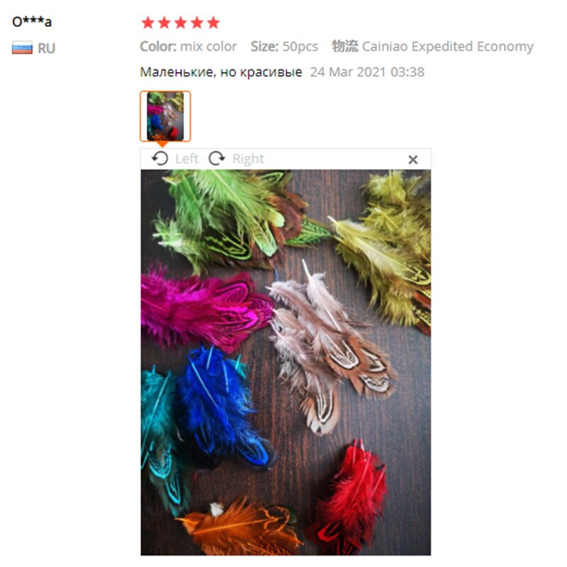 3-8CM Višebojno prirodno fazanovo perje za zanatske ukrase Izrada nakita Karnevalski dodaci Male perjanice 100 kom.