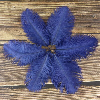 10 buc./lot pene de struț naturale 15-20 cm/6-8 inchi Pene vopsite pufoase pentru accesorii de nuntă, petreceri, decorațiuni pentru casă, artizanat