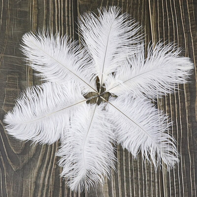 10 buc./lot pene de struț naturale 15-20 cm/6-8 inchi Pene vopsite pufoase pentru accesorii de nuntă, petreceri, decorațiuni pentru casă, artizanat