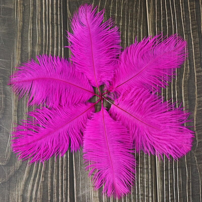 10 buc./lot pene de struț naturale 15-20 cm/6-8 inchi Pene vopsite pufoase pentru accesorii de nuntă, petreceri, decorațiuni pentru casă, artizanat