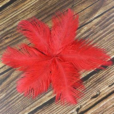 10 buc./lot pene de struț naturale 15-20 cm/6-8 inchi Pene vopsite pufoase pentru accesorii de nuntă, petreceri, decorațiuni pentru casă, artizanat