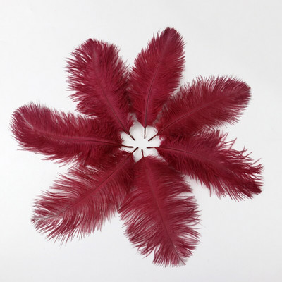 10 buc./lot pene de struț naturale 15-20 cm/6-8 inchi Pene vopsite pufoase pentru accesorii de nuntă, petreceri, decorațiuni pentru casă, artizanat