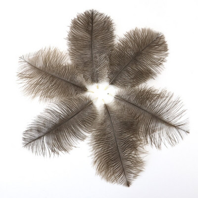 10 buc./lot pene de struț naturale 15-20 cm/6-8 inchi Pene vopsite pufoase pentru accesorii de nuntă, petreceri, decorațiuni pentru casă, artizanat