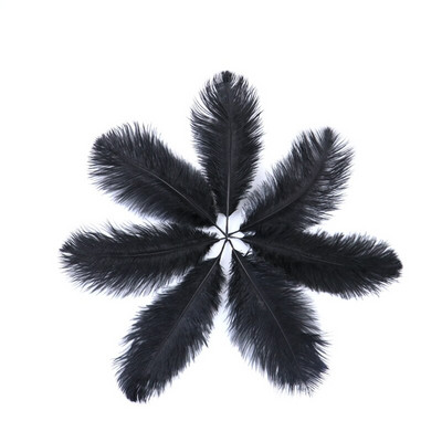 10 buc./lot pene de struț naturale 15-20 cm/6-8 inchi Pene vopsite pufoase pentru accesorii de nuntă, petreceri, decorațiuni pentru casă, artizanat