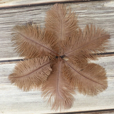 10 buc./lot pene de struț naturale 15-20 cm/6-8 inchi Pene vopsite pufoase pentru accesorii de nuntă, petreceri, decorațiuni pentru casă, artizanat