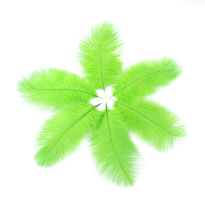 10 buc./lot pene de struț naturale 15-20 cm/6-8 inchi Pene vopsite pufoase pentru accesorii de nuntă, petreceri, decorațiuni pentru casă, artizanat