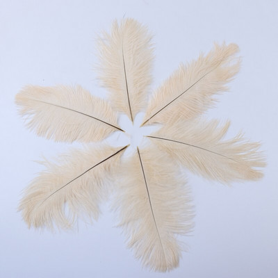 10 buc./lot pene de struț naturale 15-20 cm/6-8 inchi Pene vopsite pufoase pentru accesorii de nuntă, petreceri, decorațiuni pentru casă, artizanat
