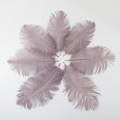 10 buc./lot pene de struț naturale 15-20 cm/6-8 inchi Pene vopsite pufoase pentru accesorii de nuntă, petreceri, decorațiuni pentru casă, artizanat