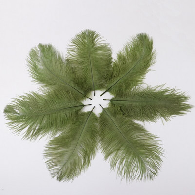 10 buc./lot pene de struț naturale 15-20 cm/6-8 inchi Pene vopsite pufoase pentru accesorii de nuntă, petreceri, decorațiuni pentru casă, artizanat