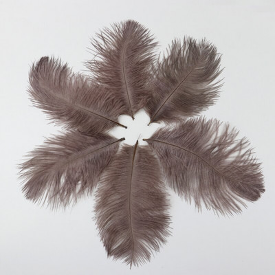 10 buc./lot pene de struț naturale 15-20 cm/6-8 inchi Pene vopsite pufoase pentru accesorii de nuntă, petreceri, decorațiuni pentru casă, artizanat