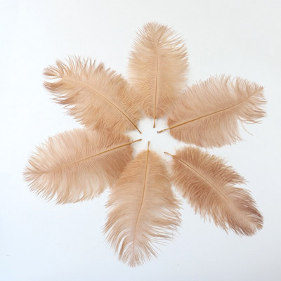 10 buc./lot pene de struț naturale 15-20 cm/6-8 inchi Pene vopsite pufoase pentru accesorii de nuntă, petreceri, decorațiuni pentru casă, artizanat