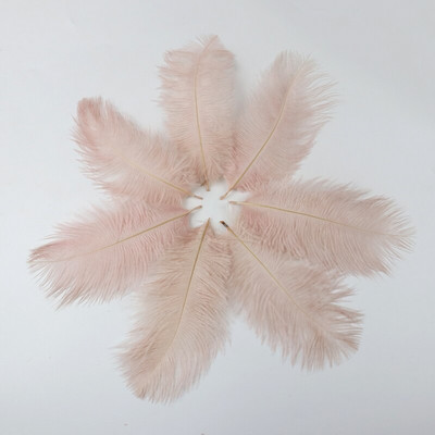 10 buc./lot pene de struț naturale 15-20 cm/6-8 inchi Pene vopsite pufoase pentru accesorii de nuntă, petreceri, decorațiuni pentru casă, artizanat