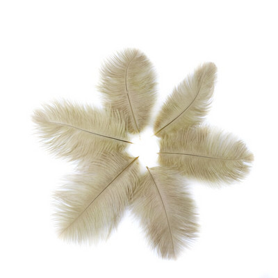 10 buc./lot pene de struț naturale 15-20 cm/6-8 inchi Pene vopsite pufoase pentru accesorii de nuntă, petreceri, decorațiuni pentru casă, artizanat