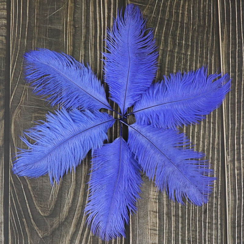 10 buc./lot pene de struț naturale 15-20 cm/6-8 inchi Pene vopsite pufoase pentru accesorii de nuntă, petreceri, decorațiuni pentru casă, artizanat