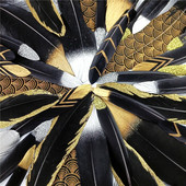 20kom Crno zlatno guščje perje Dodaci za rukotvorine Duck Plumas Izrada nakita DIY Središnji dijelovi stolova za vjenčanje