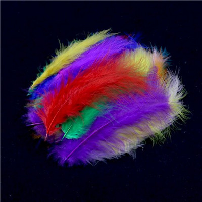 50 vnt Natūralios plunksnos 4–6 colių 10–15 cm Turkijos marabu plunksnos plunksnos pūkuotos vestuvinės suknelės „pasidaryk pats“ papuošalai dekoro priedai plunksnos