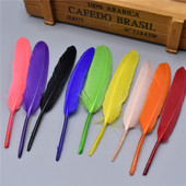 Pardisuled meisterdamiseks 10-15cm/4-6" Hanesuled punased suled valged mustad suled ploomikaunistus Carnaval Assesoires isetegemine