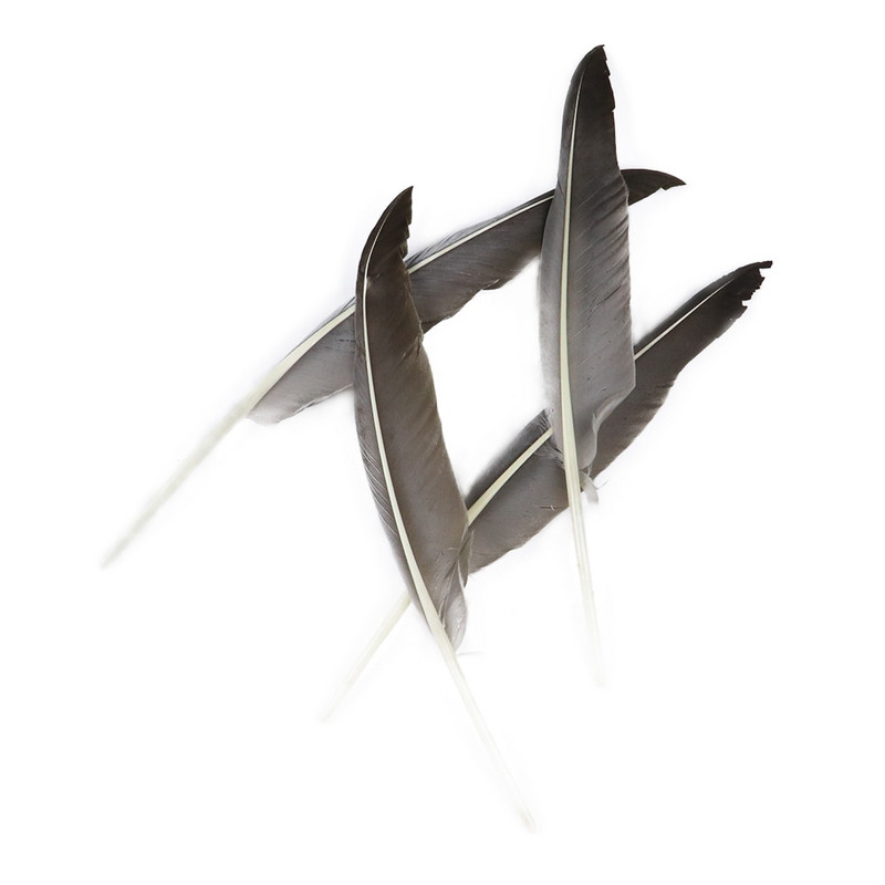 50 buc. pene de gâscă naturală, fabricarea de bijuterii, 25-30 cm/10-12 inci, pene de decorare pentru lucrare manuală de nuntă, pentru meșteșuguri, comerț cu ridicata