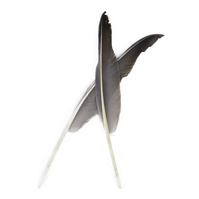 50 buc. pene de gâscă naturală, fabricarea de bijuterii, 25-30 cm/10-12 inci, pene de decorare pentru lucrare manuală de nuntă, pentru meșteșuguri, comerț cu ridicata