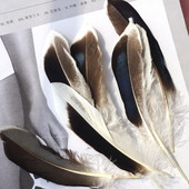 Pardisuled käsitööks 10-15cm 4-6" naturaalsed suled ehete valmistamiseks Pulmakuke suled Karnavali aksessuaarid