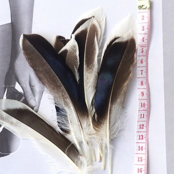 Φτερά πάπιας για χειροτεχνίες 10-15 εκ. 4-6\