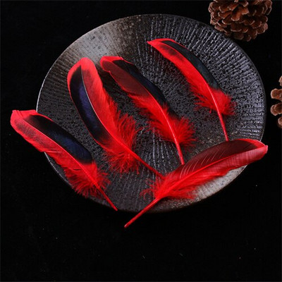 Pardisuled käsitööks 10-15cm 4-6" naturaalsed suled ehete valmistamiseks Pulmakuke suled Karnavali aksessuaarid