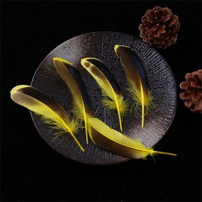 Pardisuled käsitööks 10-15cm 4-6" naturaalsed suled ehete valmistamiseks Pulmakuke suled Karnavali aksessuaarid