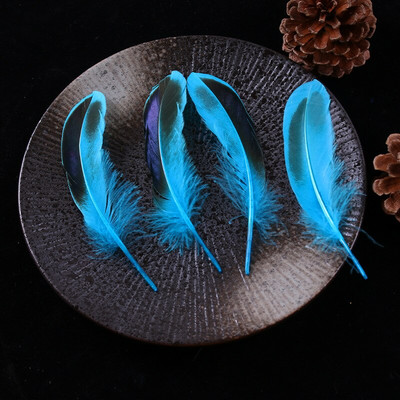 Pardisuled käsitööks 10-15cm 4-6" naturaalsed suled ehete valmistamiseks Pulmakuke suled Karnavali aksessuaarid