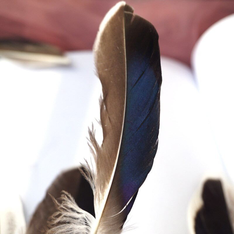 Pardisuled käsitööks 10-15cm 4-6" naturaalsed suled ehete valmistamiseks Pulmakuke suled Karnavali aksessuaarid