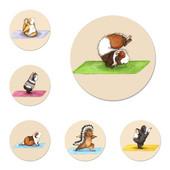 Yoga Guinea Pigs Art Icons Καρφίτσες Διακοσμητικό σήμα Καρφίτσες Μεταλλικές κονκάρδες για ρούχα Διακόσμηση σακιδίου πλάτης 58mm