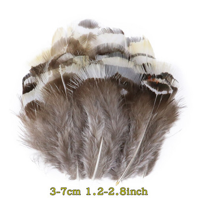 50 tk/pakk Naturaalsed pecock faasani suled käsitööks DIY ehete valmistamise tarvikud Väikesed kanaploomid kaunistuste hulgimüük