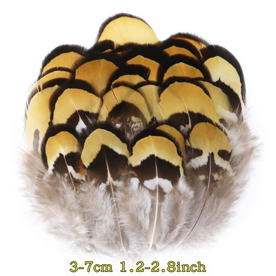 50 tk/pakk Naturaalsed pecock faasani suled käsitööks DIY ehete valmistamise tarvikud Väikesed kanaploomid kaunistuste hulgimüük