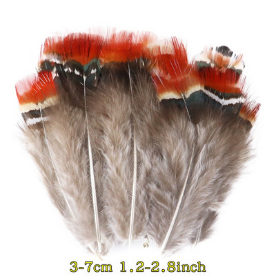 50 tk/pakk Naturaalsed pecock faasani suled käsitööks DIY ehete valmistamise tarvikud Väikesed kanaploomid kaunistuste hulgimüük
