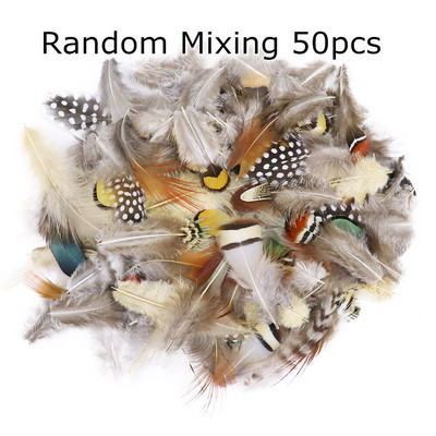 50 tk/pakk Naturaalsed pecock faasani suled käsitööks DIY ehete valmistamise tarvikud Väikesed kanaploomid kaunistuste hulgimüük