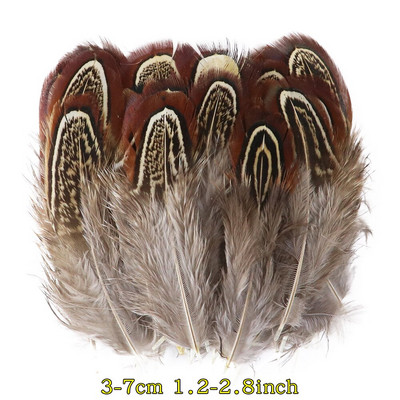 50 tk/pakk Naturaalsed pecock faasani suled käsitööks DIY ehete valmistamise tarvikud Väikesed kanaploomid kaunistuste hulgimüük