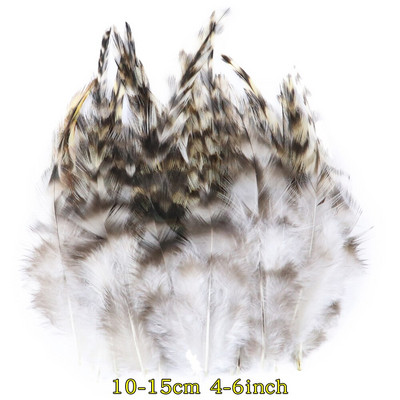 50 tk/pakk Naturaalsed pecock faasani suled käsitööks DIY ehete valmistamise tarvikud Väikesed kanaploomid kaunistuste hulgimüük