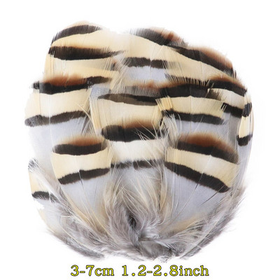 50 tk/pakk Naturaalsed pecock faasani suled käsitööks DIY ehete valmistamise tarvikud Väikesed kanaploomid kaunistuste hulgimüük