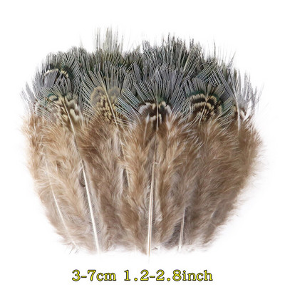 50 tk/pakk Naturaalsed pecock faasani suled käsitööks DIY ehete valmistamise tarvikud Väikesed kanaploomid kaunistuste hulgimüük
