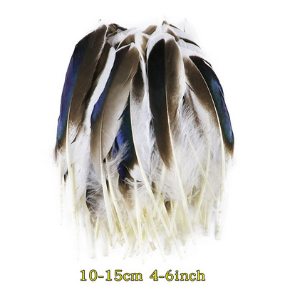 50 tk/pakk Naturaalsed pecock faasani suled käsitööks DIY ehete valmistamise tarvikud Väikesed kanaploomid kaunistuste hulgimüük