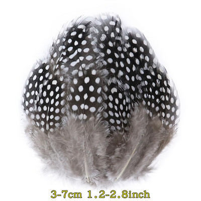 50 tk/pakk Naturaalsed pecock faasani suled käsitööks DIY ehete valmistamise tarvikud Väikesed kanaploomid kaunistuste hulgimüük