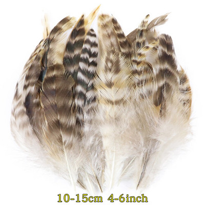 50 tk/pakk Naturaalsed pecock faasani suled käsitööks DIY ehete valmistamise tarvikud Väikesed kanaploomid kaunistuste hulgimüük