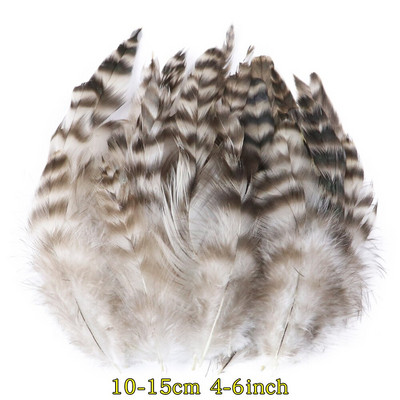 50 tk/pakk Naturaalsed pecock faasani suled käsitööks DIY ehete valmistamise tarvikud Väikesed kanaploomid kaunistuste hulgimüük