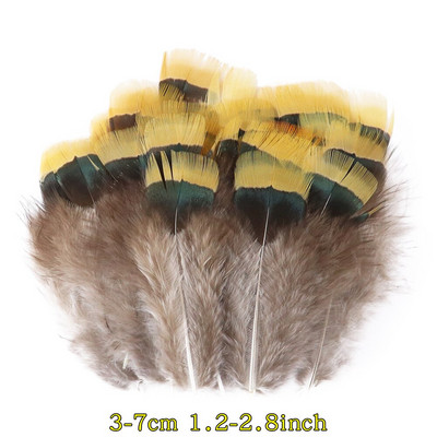 50 tk/pakk Naturaalsed pecock faasani suled käsitööks DIY ehete valmistamise tarvikud Väikesed kanaploomid kaunistuste hulgimüük