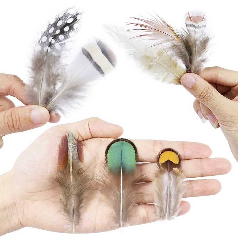 50 tk/pakk Naturaalsed pecock faasani suled käsitööks DIY ehete valmistamise tarvikud Väikesed kanaploomid kaunistuste hulgimüük