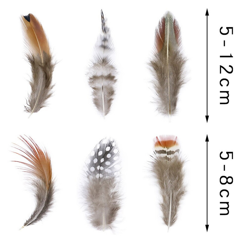 50 tk/pakk Naturaalsed pecock faasani suled käsitööks DIY ehete valmistamise tarvikud Väikesed kanaploomid kaunistuste hulgimüük